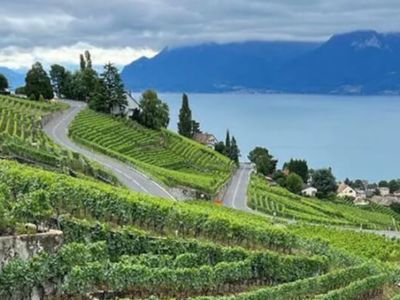 Wine tasting & gourmet picnic in Lavaux vineyards