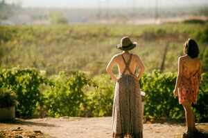 Visit Uruaguay Wineries
