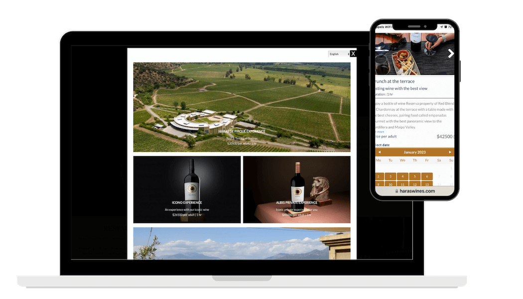 Direct Wine Sale Solutions