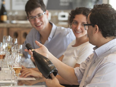 Visit Provence vineyards